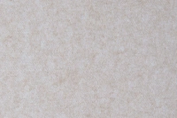 BZ 04 ALMOND