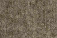 BZ 31 FOREST