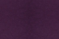 BZ 50 LAVENDER